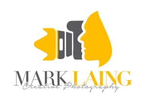 Mark Laing camera logo